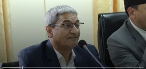भिजिट भिसाबारे संसदमै जवाफ दिने गृहमन्त्री लेखकको स्पष्टोक्ति